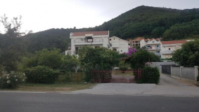 MORE MONTENEGRO